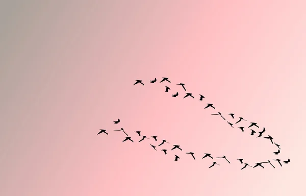 Sekawanan burung saat matahari terbenam - Stok Vektor
