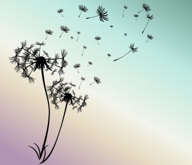 dandelions vektör arka plan ile soyut kartı