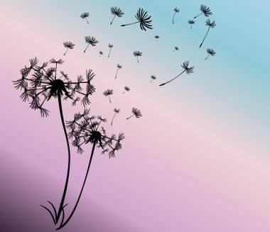dandelions vektör arka plan ile soyut kartı