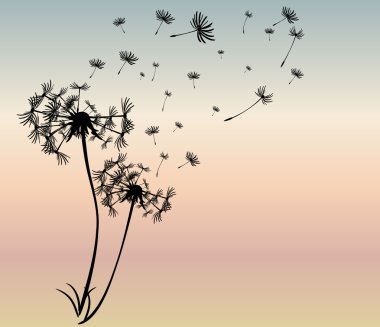 dandelions vektör arka plan ile soyut kartı
