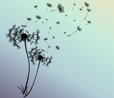 dandelions vektör arka plan ile soyut kartı