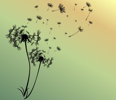 dandelions vektör arka plan ile soyut kartı