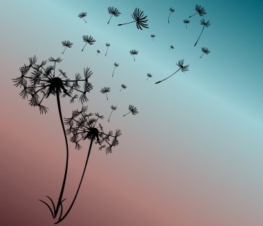 dandelions vektör arka plan ile soyut kartı