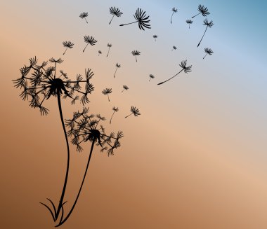 dandelions vektör arka plan ile soyut kartı