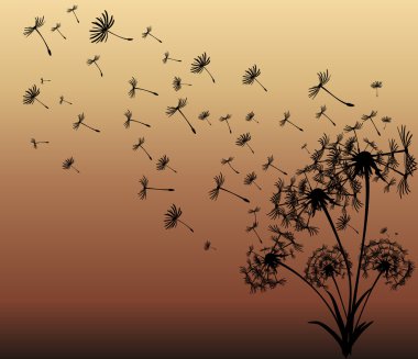 dandelions vektör arka plan ile soyut kartı
