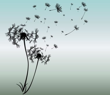 dandelions vektör arka plan ile soyut kartı