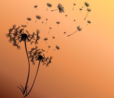 dandelions vektör arka plan ile soyut kartı