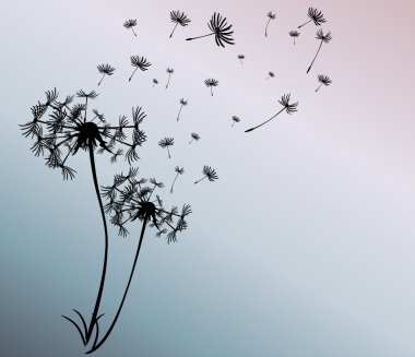 dandelions vektör arka plan ile soyut kartı