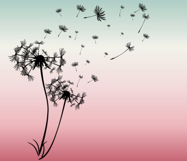 dandelions vektör arka plan ile soyut kartı