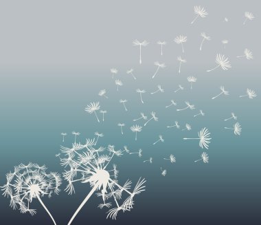 dandelions vektör arka plan ile soyut kartı