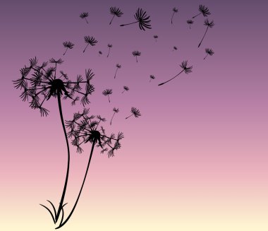 dandelions vektör arka plan ile soyut kartı