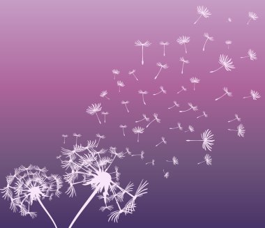 dandelions vektör arka plan ile soyut kartı
