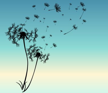 dandelions vektör arka plan ile soyut kartı