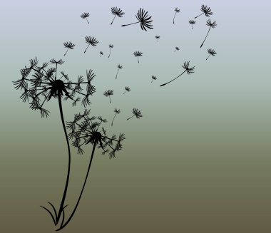 dandelions vektör arka plan ile soyut kartı