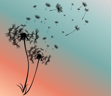 dandelions vektör arka plan ile soyut kartı
