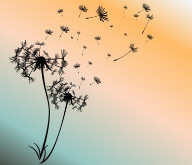 dandelions vektör arka plan ile soyut kartı