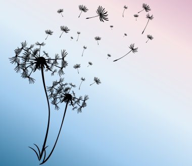 dandelions vektör arka plan ile soyut kartı