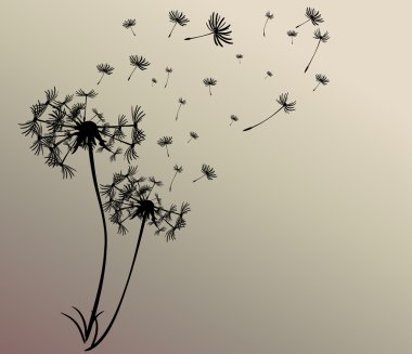 dandelions vektör arka plan ile soyut kartı