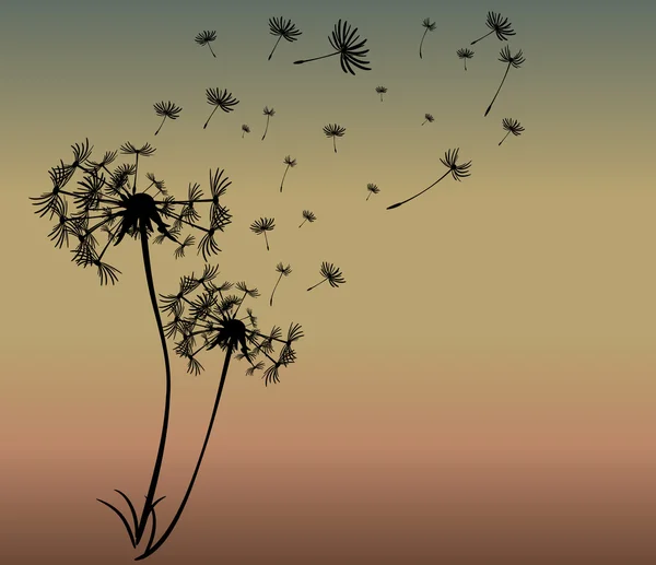 การ์ดอักษรที่มีพื้นหลังเวกเตอร์ dandelions — ภาพเวกเตอร์สต็อก