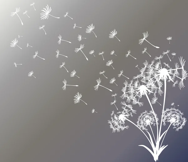 dandelions vektör arka plan ile soyut kartı