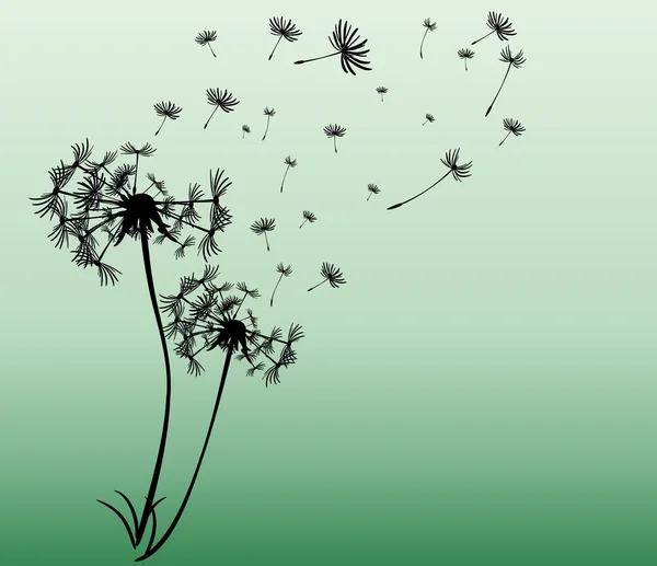 dandelions vektör arka plan ile soyut kartı