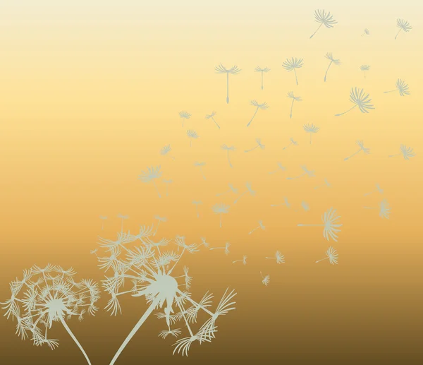 การ์ดอักษรที่มีพื้นหลังเวกเตอร์ dandelions — ภาพเวกเตอร์สต็อก