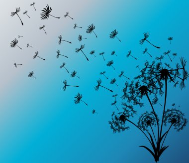 dandelions vektör arka plan ile soyut kartı