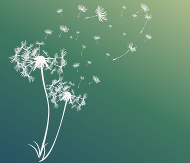 dandelions vektör arka plan ile soyut kartı