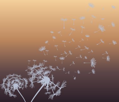 dandelions vektör arka plan ile soyut kartı