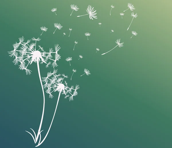 dandelions vektör arka plan ile soyut kartı