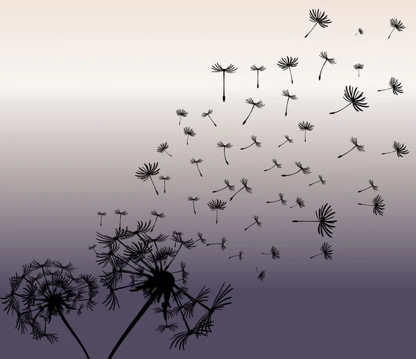 การ์ดอักษรที่มีพื้นหลังเวกเตอร์ dandelions — ภาพเวกเตอร์สต็อก