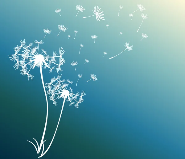 dandelions vektör arka plan ile soyut kartı