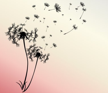 dandelions vektör arka plan ile soyut kartı