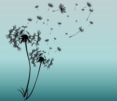 dandelions vektör arka plan ile soyut kartı