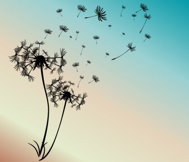 dandelions vektör arka plan ile soyut kartı