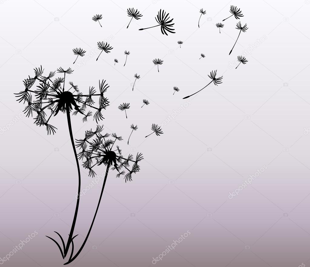 abstract card with dandelions vector background