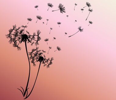 dandelions vektör arka plan ile soyut kartı