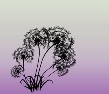 dandelions vektör arka plan ile soyut kartı