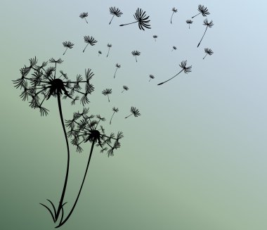 dandelions vektör arka plan ile soyut kartı