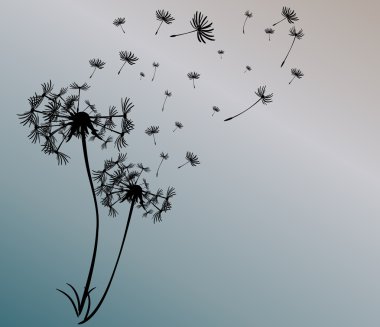dandelions vektör arka plan ile soyut kartı