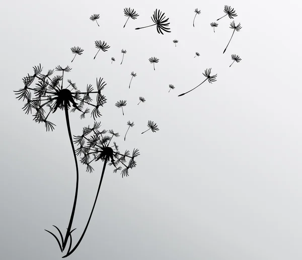 dandelions vektör arka plan ile soyut kartı