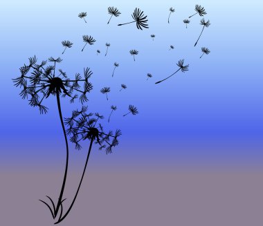 dandelions vektör arka plan ile soyut kartı