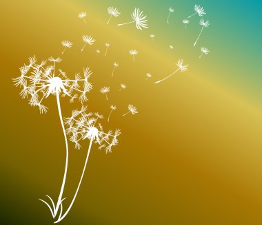 dandelions vektör arka plan ile soyut kartı