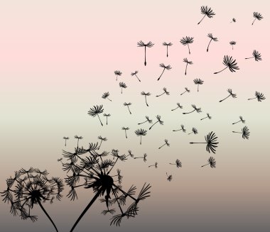 dandelions vektör arka plan ile soyut kartı