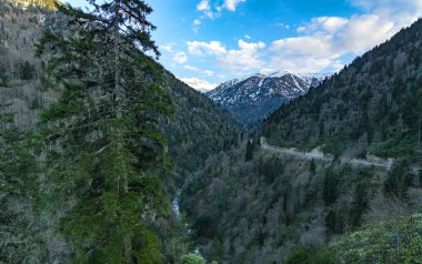 Plato yollar ve köprüler amlhemsin