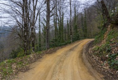 Plato yollar ve köprüler amlhemsin
