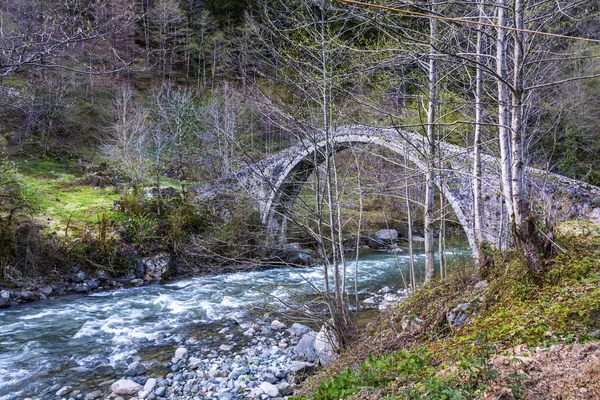 Stone bridge on the black sea — Stock Photo, Image