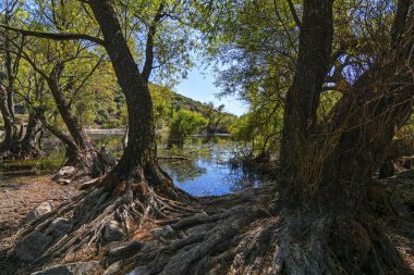 İki Yataklı göl izmir