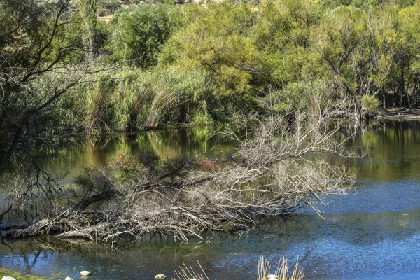 İki Yataklı göl izmir