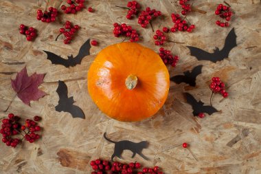 Kabak ve yarasalar ahşap tahta üzerinde kağıttan.